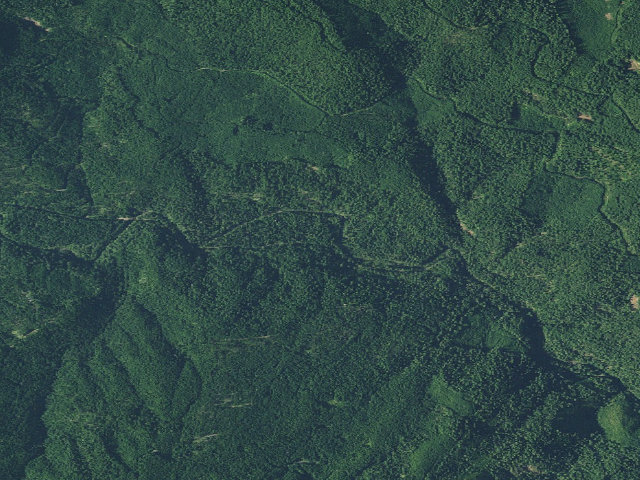 Aerial image of Gleason Cabin