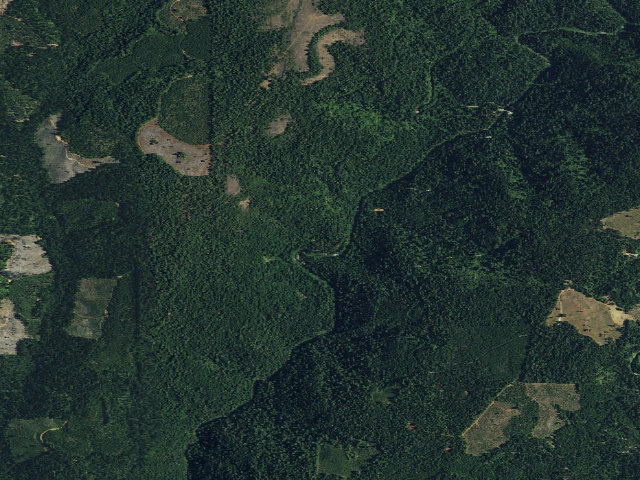 Aerial image of Golden Trout Crossing