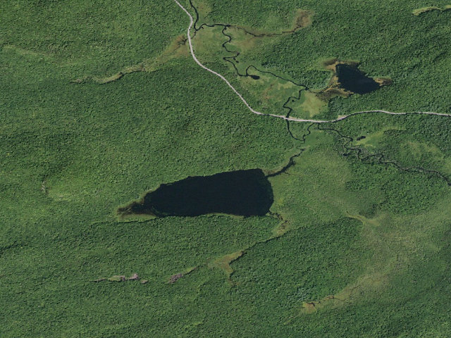 Aerial image of Good Luck Lake #1 (Ferris Lake Wild Forest)