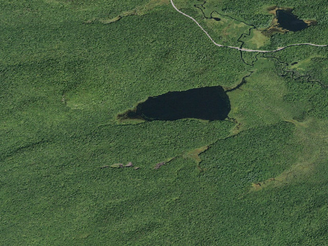 Aerial image of Good Luck Lake #4 (Ferris Lake Wild Forest)
