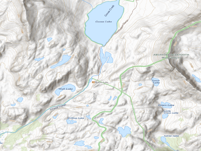 USGS topographic map of Goose-005
