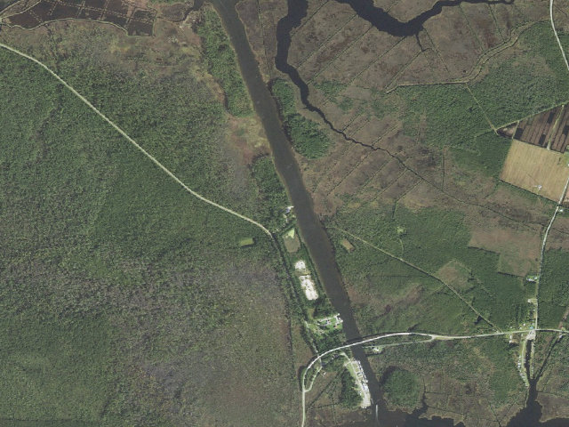 Aerial image of Goose Creek Game Land camping area #1