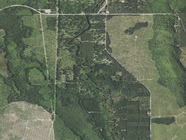 Aerial image of Goose Creek State Forest Campground