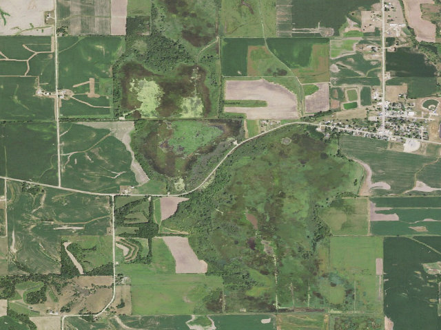 Aerial image of Goose Lake (Clinton) WMA