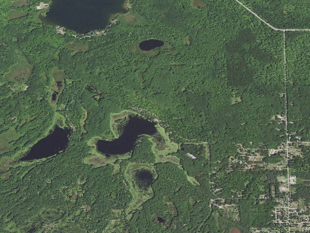 Aerial image of Goose Lake State Forest Campground