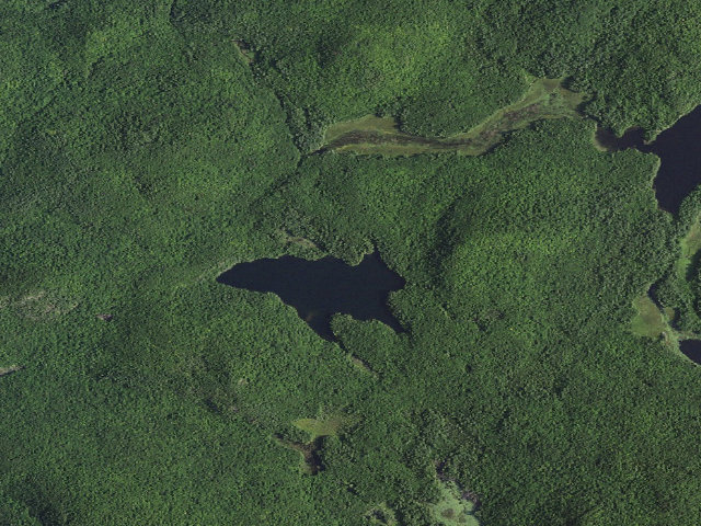 Aerial image of GOOSE POND PRIMITIVE TENT SITE 1 (Pharaoh Lake Wilderness)