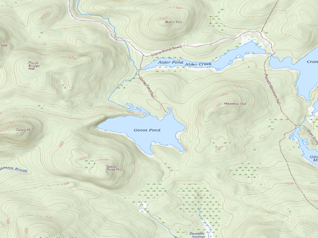 USGS topographic map of GOOSE POND PRIMITIVE TENT SITE 1 (Pharaoh Lake Wilderness)