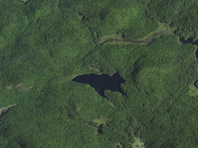 Aerial image of GOOSE POND PRIMITIVE TENT SITE 2 (Pharaoh Lake Wilderness)