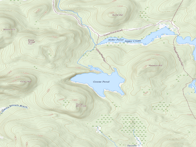 USGS topographic map of GOOSE POND PRIMITIVE TENT SITE 2 (Pharaoh Lake Wilderness)