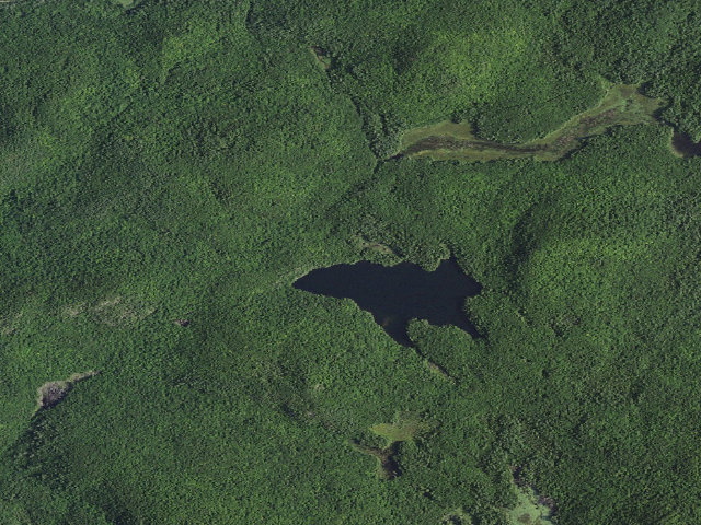Aerial image of GOOSE POND PRIMITIVE TENT SITE 3 (Pharaoh Lake Wilderness)