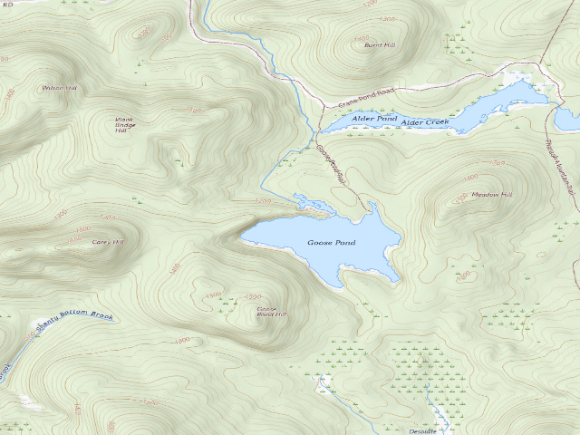 USGS topographic map of GOOSE POND PRIMITIVE TENT SITE 3 (Pharaoh Lake Wilderness)