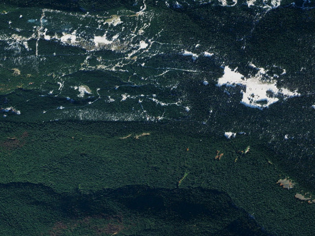 Aerial image of Government Meadows Horse Camp