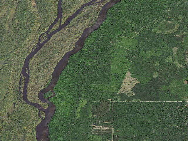 Aerial image of Governor Knowles State Forest - Brandt Pines Backpack Campsite (free, permit required)