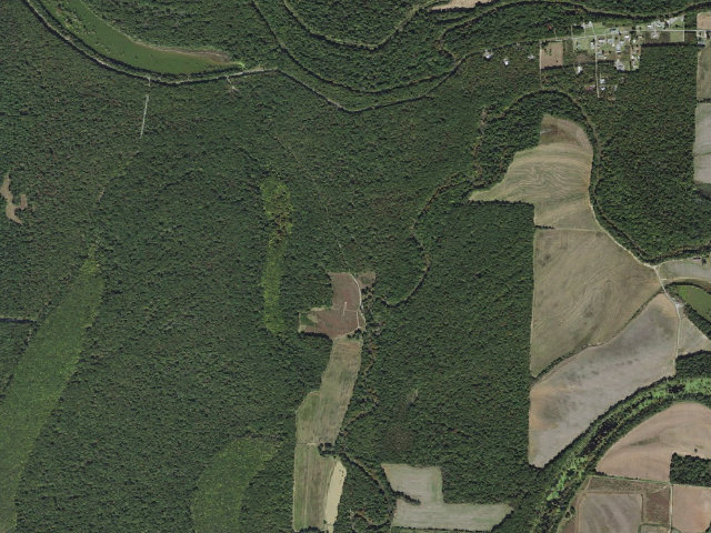 Aerial image of Grand Cypress Access Camping Area