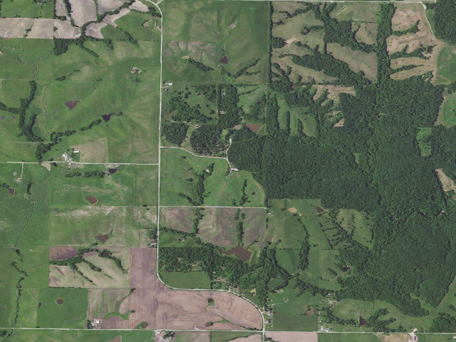Aerial image of Grand Trace Conservation Area