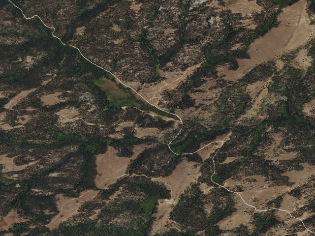 Aerial image of Grannier Meadows