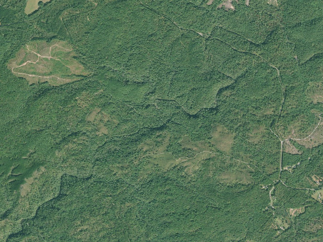 Aerial image of Grapevine