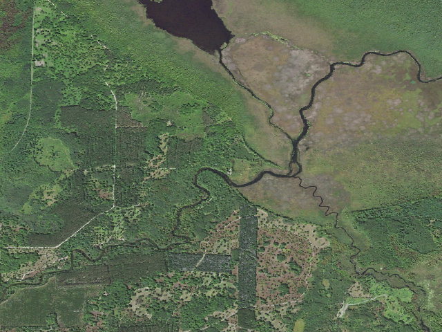 Aerial image of Grass Lake State Forest Campground