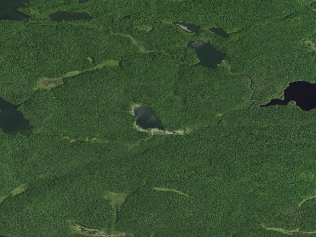 Aerial image of Grass Pond Campsite (Saint Regis Canoe Area)