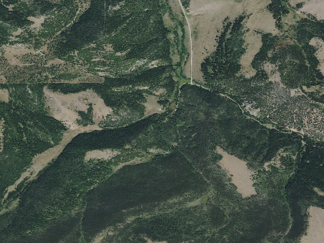 Aerial image of Grasshopper Cg