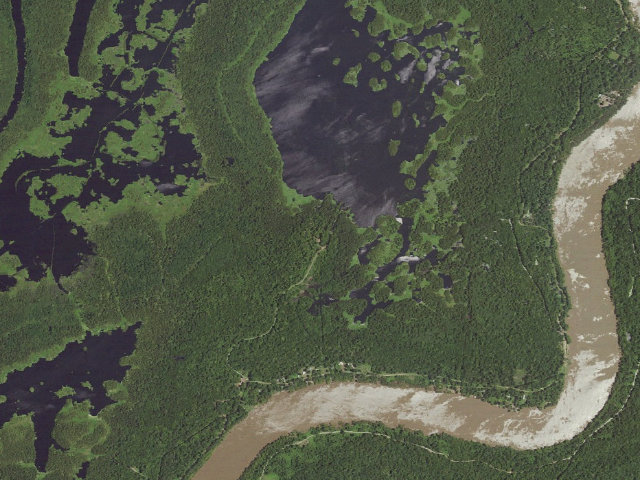 Aerial image of Grassy Lake WMA primitive camping area 1