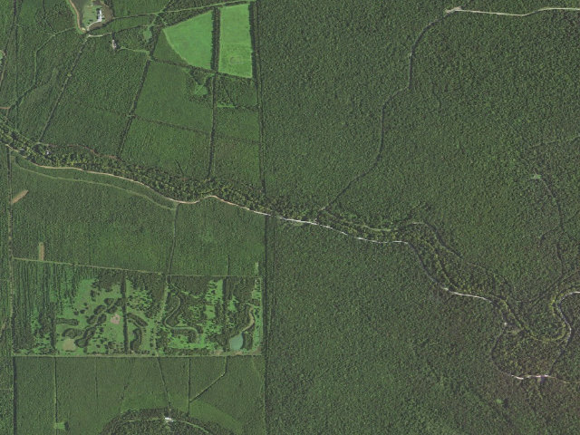 Aerial image of Grassy Lake WMA primitive camping area 2