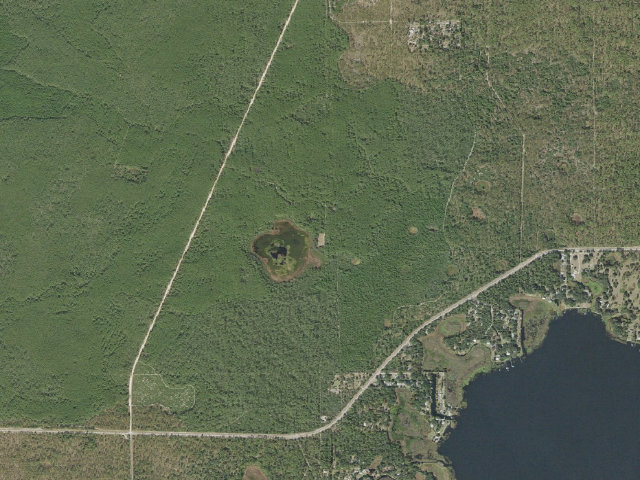 Aerial image of Grassy pond