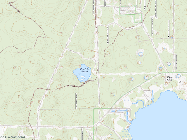 USGS topographic map of Grassy pond