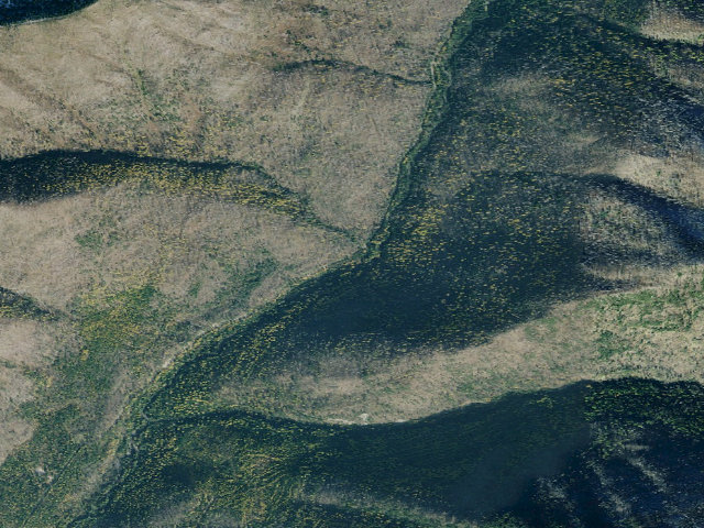 Aerial image of Grave Creek/Old Williams Creek