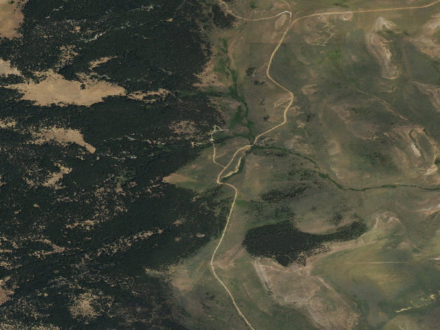 Aerial image of Grave Springs Campground