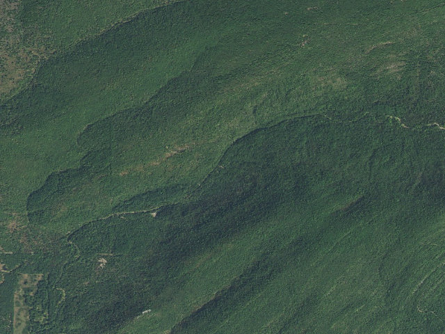 Aerial image of Gray Sherrer (Gary Sherrer WMA)