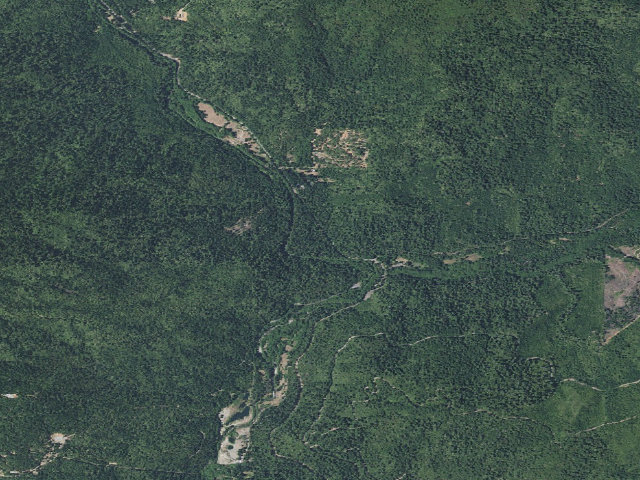 Aerial image of Grayback