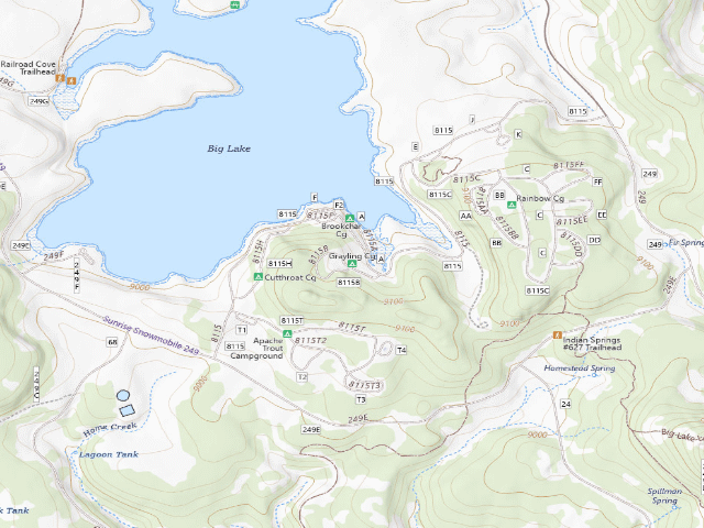USGS topographic map of Grayling Cg