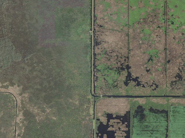 Aerial image of Great Egret Camp (Three Forks Conservation Area)