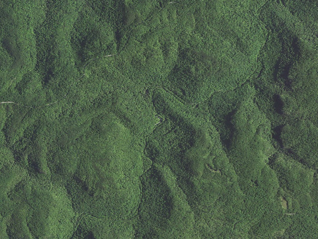 Aerial image of Great Meadows Campground Raccoon Loop