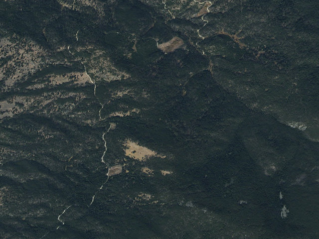 Aerial image of Green Grassy Field