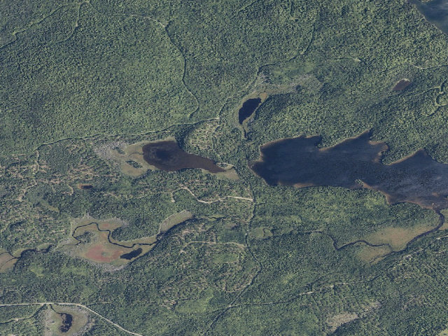 Aerial image of Green Pond (Scraggly Lake Public Land)