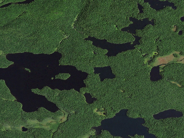 Aerial image of Green Pond Site 1 (Saint Regis Canoe Area)