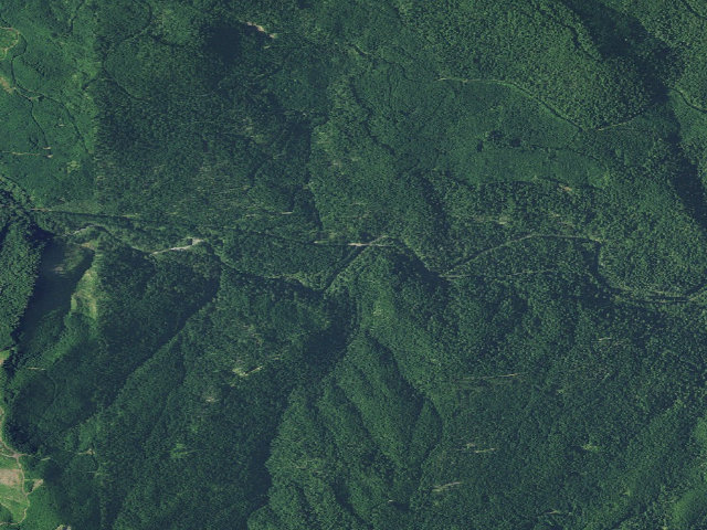 Aerial image of Green Pool