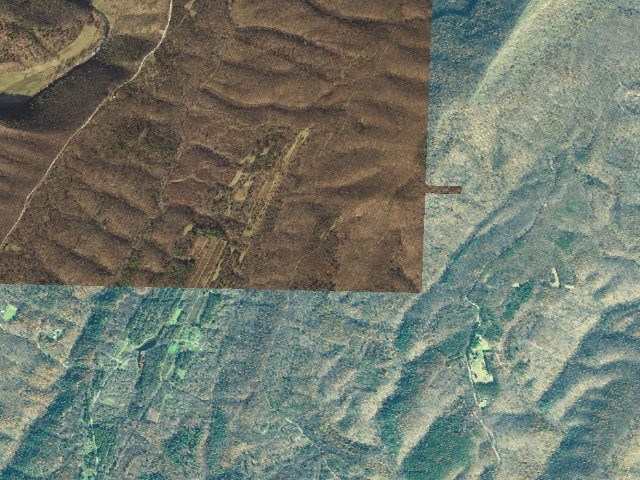 Aerial image of Green Ridge State Forest primitive campsite 100