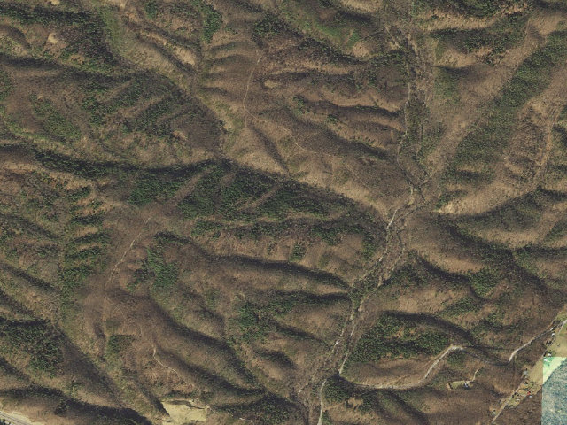 Aerial image of Green Ridge State Forest primitive campsite 12