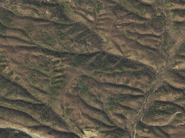 Aerial image of Green Ridge State Forest primitive campsite 15