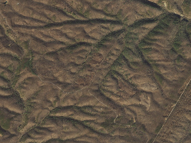 Aerial image of Green Ridge State Forest primitive campsite 36