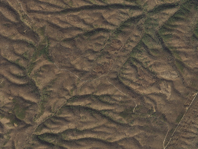 Aerial image of Green Ridge State Forest primitive campsite 38