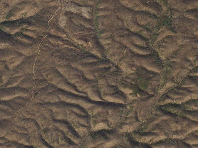 Aerial image of Green Ridge State Forest primitive campsite 47