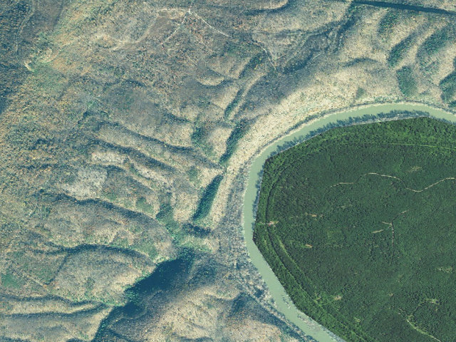 Aerial image of Green Ridge State Forest primitive campsite 65