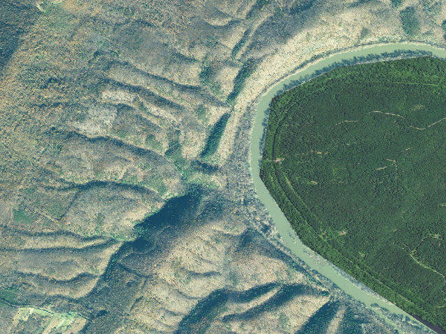 Aerial image of Green Ridge State Forest primitive campsite 66
