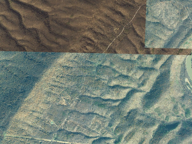 Aerial image of Green Ridge State Forest primitive campsite 68