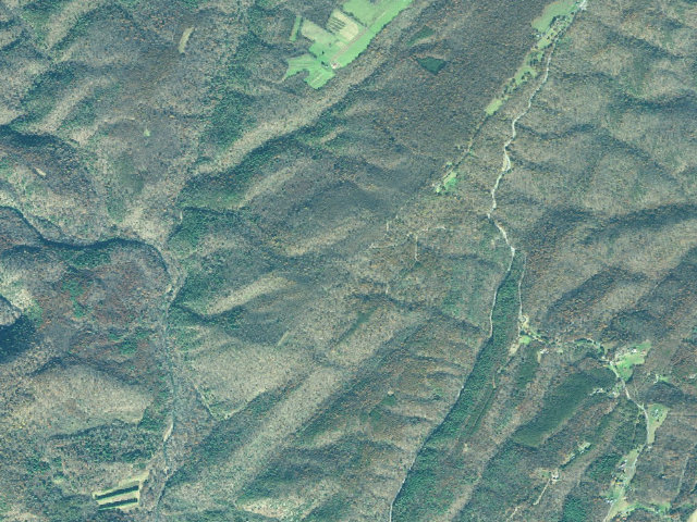 Aerial image of Green Ridge State Forest primitive campsite 83