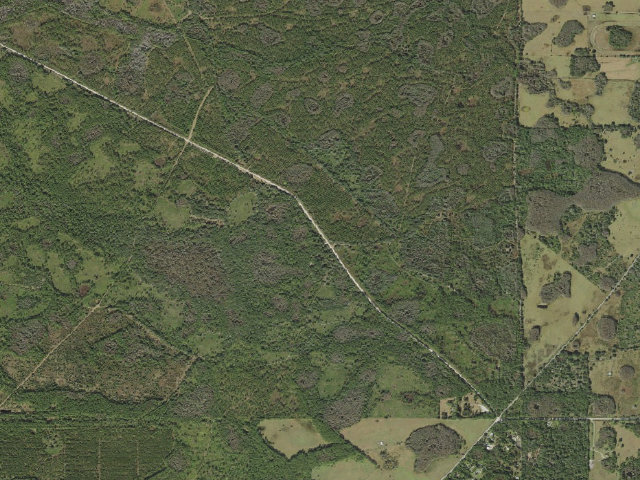 Aerial image of Green Swamp Wilderness Preserve - East Tract equestrian/primitive